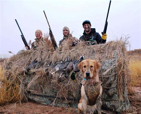 Oklahoma Waterfowl, Hogs and Prairie Dog Hunting