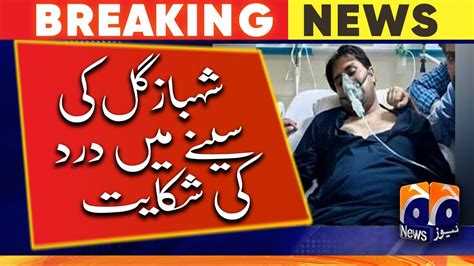 Pti Leader Shahbaz Gill Discharged From Pims Youtube