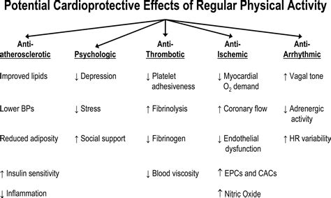 Recent Advances In Preventive Cardiology And Lifestyle Medicine