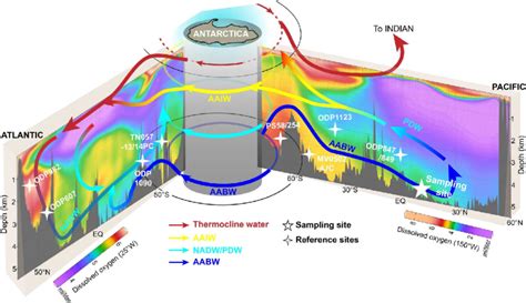 Schematic Illustration Of The Circulation Pattern In The Pacific And Download Scientific