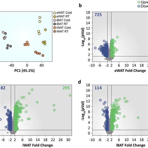 Gene Expression Analysis Of Different Adipose Tissue Depots From Mice