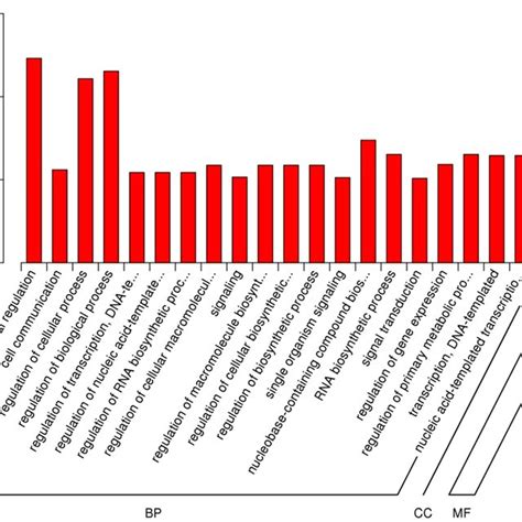 A Combined View Of Correlation Expressions Between MiRNA And Its Target