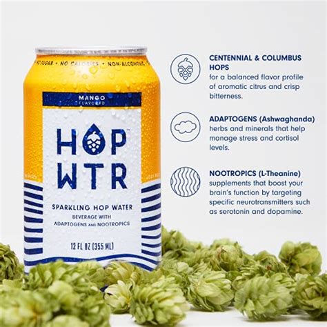 Hop Wtr Sparkling Hop Water Variety Pack 12 Pack Na Beer No