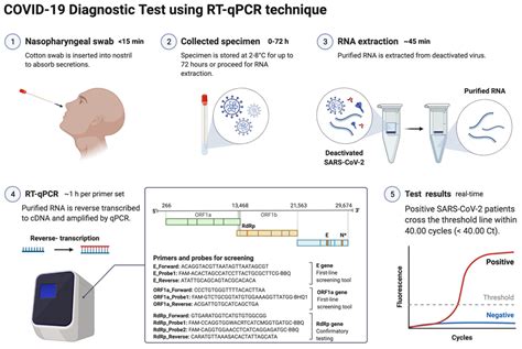 Diagnostics Free Full Text Covid 19 Diagnosis A Comprehensive