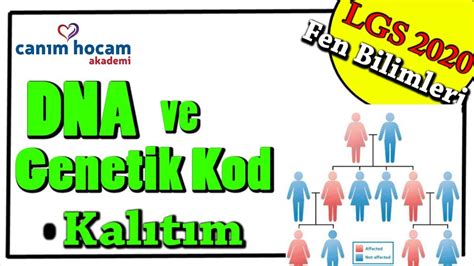 Dna Ve Genetik Kod Kalitim Lgs 2020 8sınıf Fen Bilimleri Youtube