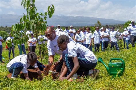 The Importance Of Reforestation For Kenya For Its People And Our