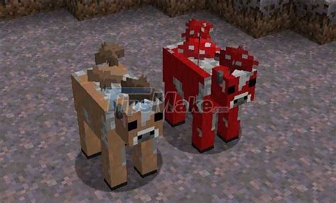 Top Rarest Mobs In Minecraft