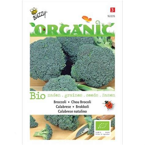 Biologische Broccoli Calabrese Natalino Broccoli Healthy Vegetables