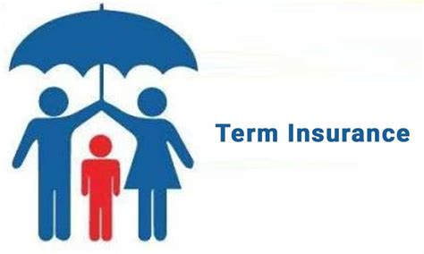 What Importance Does Term Insurance Holds In Our Lives And Everything One Must Know