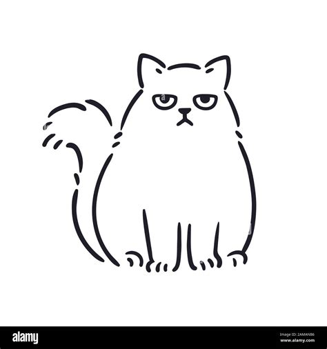 Cartoon Drawing Of Grumpy Looking Fat Cat Funny Annoyed White Persian