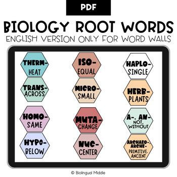 Biology Root Word Hexagon Word Wall By Biolingual Middle Tpt