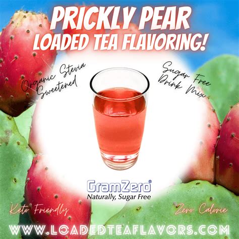 PRICKLY PEAR Sugar Free Beverage Mix 🌵 Aspartame Free Drink Mixes To F ...