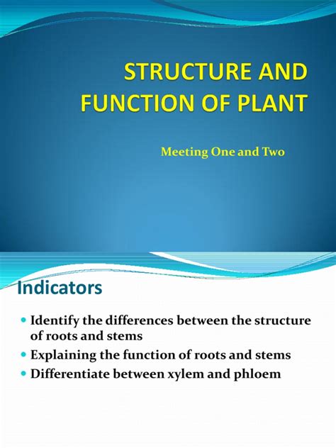 Structure and Function of Plant Tissue | PDF