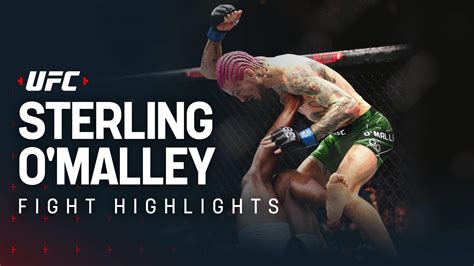 UFC 292 highlights: Sean O'Malley claims stunning win against Aljamain Sterling to claim ...