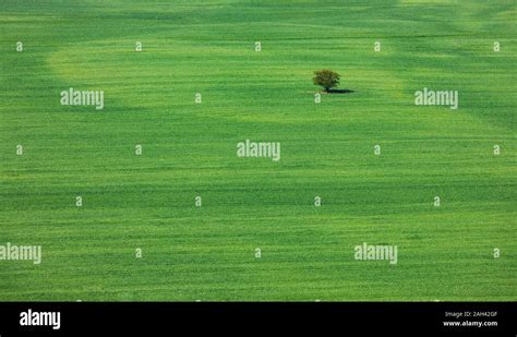 Grass field birds eye view hi-res stock photography and images - Alamy