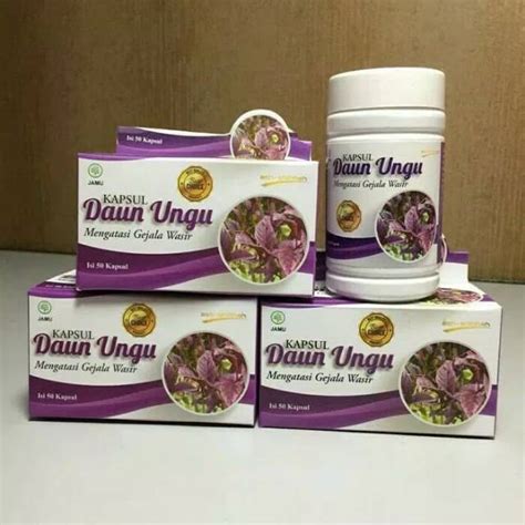 Jual Kapsul Daun Ungu Obat Wasir Kapsul Shopee Indonesia