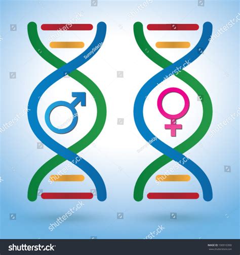 Male Female Sex Symbols Dna Depicting Vector Có Sẵn Miễn Phí Bản