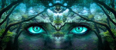 5 Signs Youre Experiencing A Higher Dimensional Shift Ledbysource