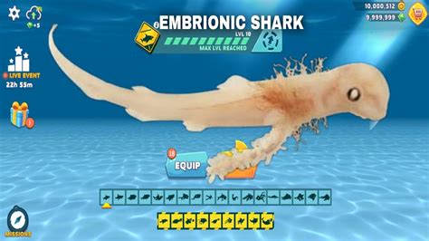 NEW EMBRIONIC SHARK COMING SOON UNLOCKED ALL 50 SHARKS 2024 HUNGRY