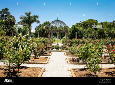 Mable Ringlings Rose Garden In The Grounds Of Ca D Zan Venetian