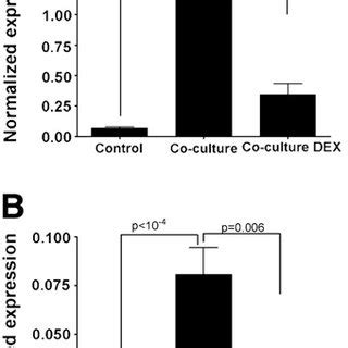 Expression Of Il A And Cox B In Control Cocultured And