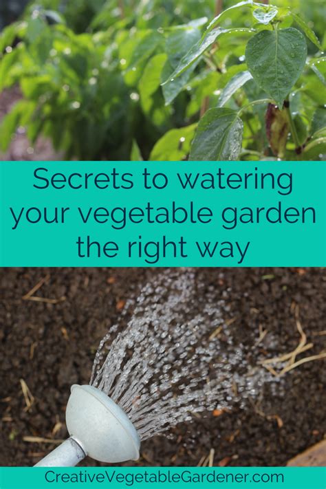 Secrets To Watering Your Vegetable Garden The Right Way Vegetable Garden Tips Home Vegetable