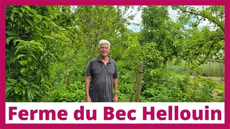 La Ferme Biologique Du Bec Hellouin Une R F Rence Mondiale En