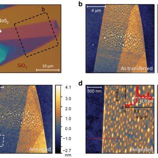 Figure S Bubbles At The Mos Sio Interface A Optical Microscope