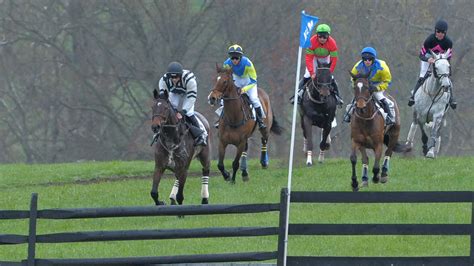 How to attend Maryland's Triple Crown steeplechase races - Baltimore Sun