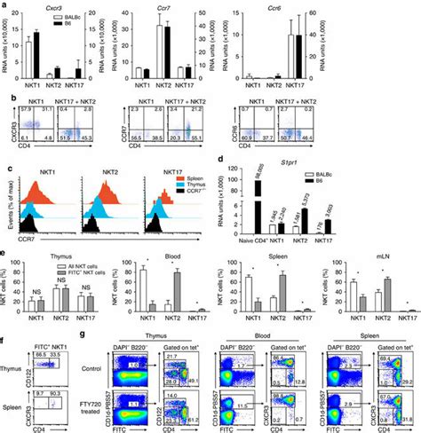 Expression Of Chemokine Receptors And S1P1 By INKT Subsets A B