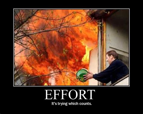 Effort Funny Pictures The Funny Humor