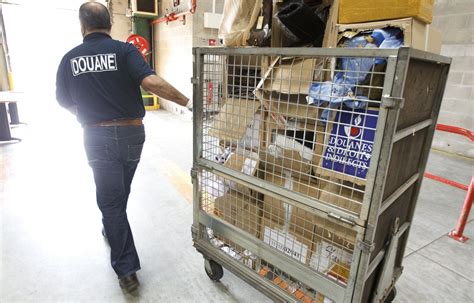 Douanes Records De Saisies En S Rie De Tabac Et De Contrefa Ons