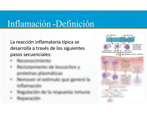 SOLUTION 2 Inflamaci N Aguda Y Cr Nica Generalidades 2023 Studypool