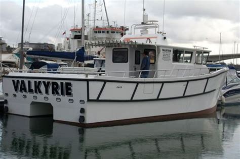 Barco De Pesca Profissional Valkyrie Catapult Catamarans Marine