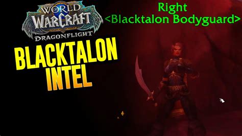 Blacktalon Intel YouTube