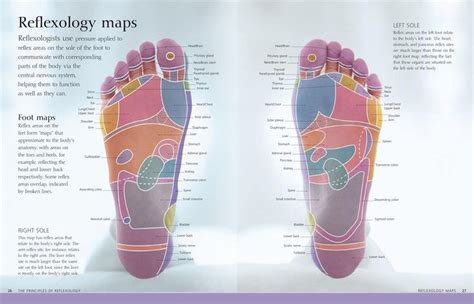 Complete Reflexology For Life Barbara Kunz 9780756655808 Amazon