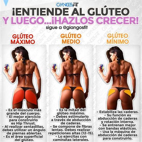 NUTRICIONEJERCICIOSALUD on Instagram Cómo tienes que entrenar los