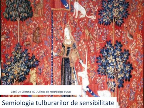 PDF Semiologia Tulburarilor De Sensibilitate Pdf DOKUMEN TIPS