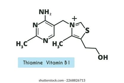 Vitamin B Chemical Molecular Structure Vector Stock Vector Royalty