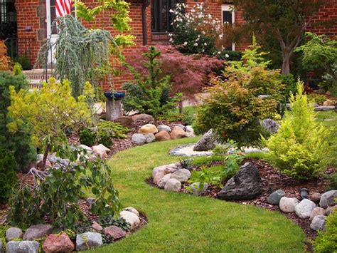 Conifers | Conifers garden, Backyard landscaping, Garden design