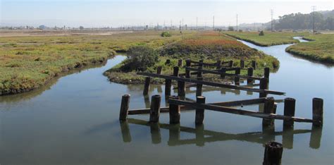 Ballona Wetlands Restoration — Environmental Science Associates