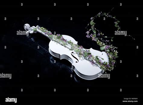 Violin And Flowers Stock Photo Alamy