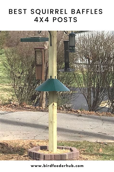 Best squirrel baffles for 4×4 posts – Artofit