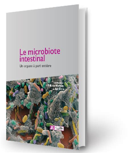 Le Microbiote Intestinal Un Organe Part Enti Re Boutique Concours