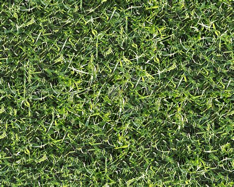 Green Grass Textures Seamless