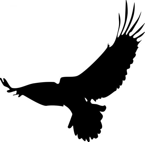 Eagle Silhouette Free Stock Photo - Public Domain Pictures