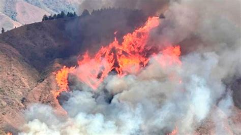 Loja Nuevo incendio forestal en Quilanga consume 40 hectáreas de bosque