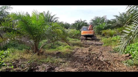 Tutorial Pekerjaan Land Clearing Di Perkebunan Kelapa Sawit YouTube