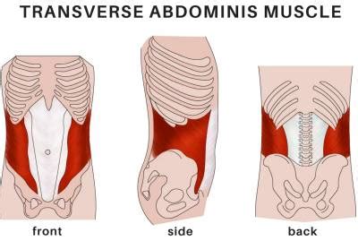 Transverse Abdominis Muscle Activation For Back & Neck Pain