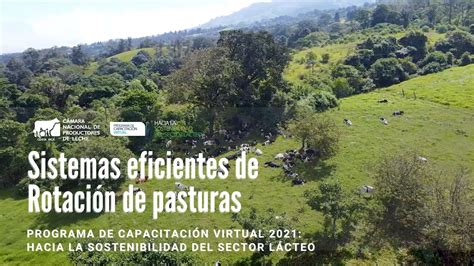 Sistemas Eficientes De Rotaci N De Pasturas Youtube